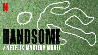 Handsome: A Netflix Mystery Movie (2017)