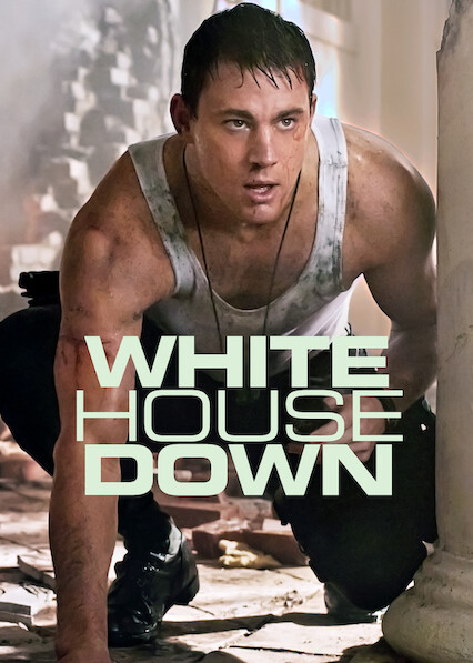 White house 2025 down streaming netflix